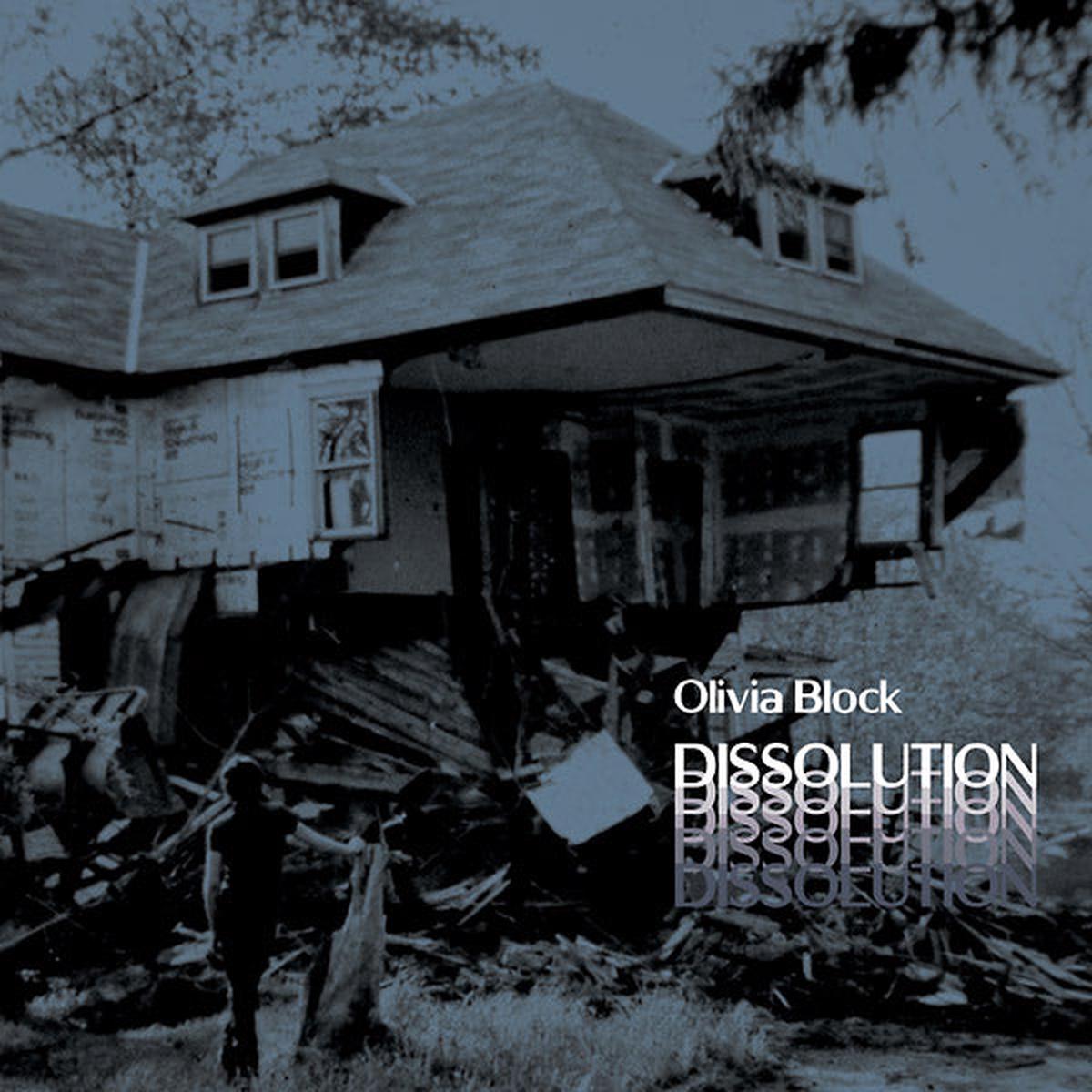 Dissolution | – Default Title