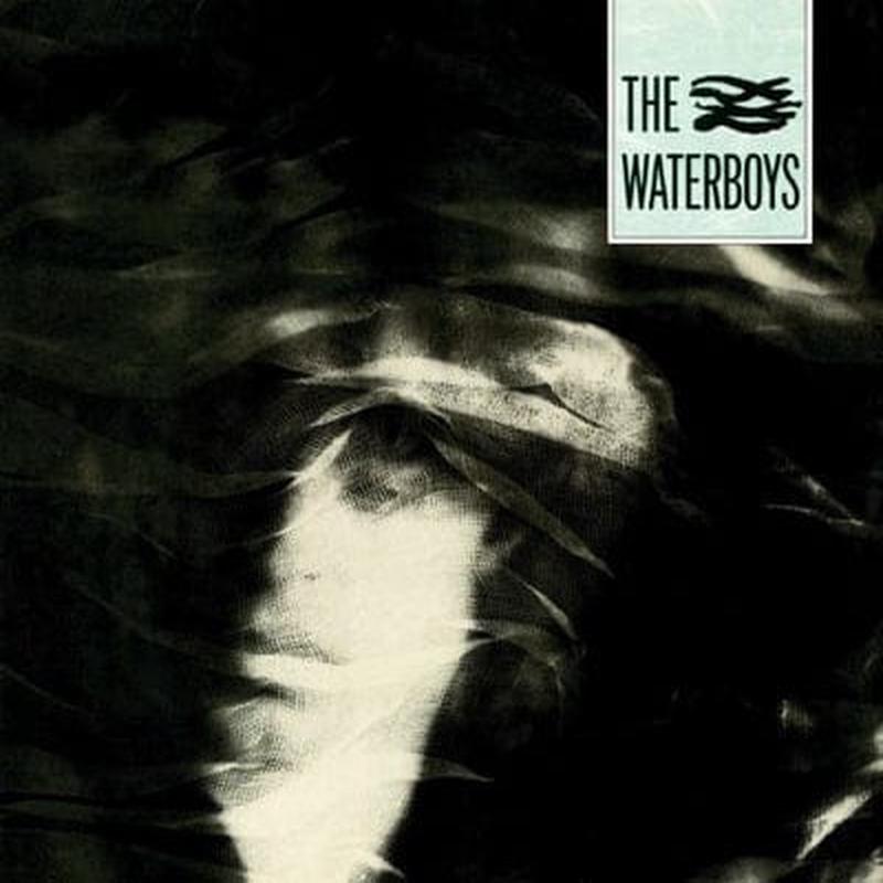 The Waterboys – The Waterboys [VINYL]