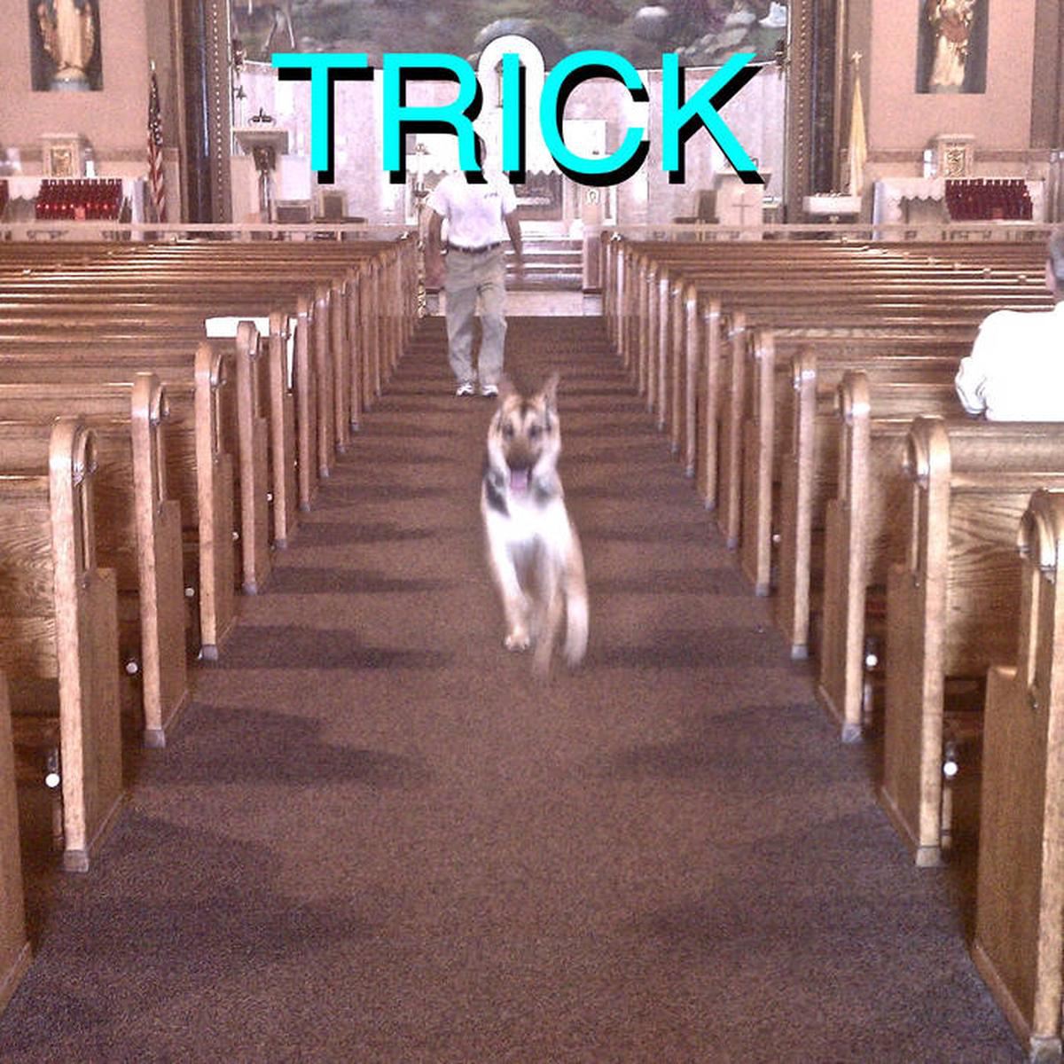 Alex G 8211 Trick LP 78221