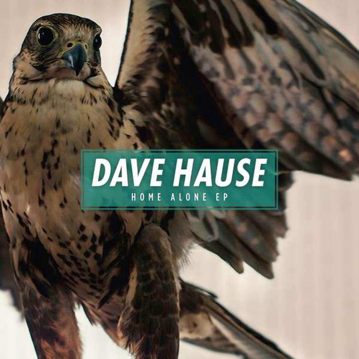 Dave Hause – Home Alone 7″ Vinyl Single RSD 2015 – Default Title