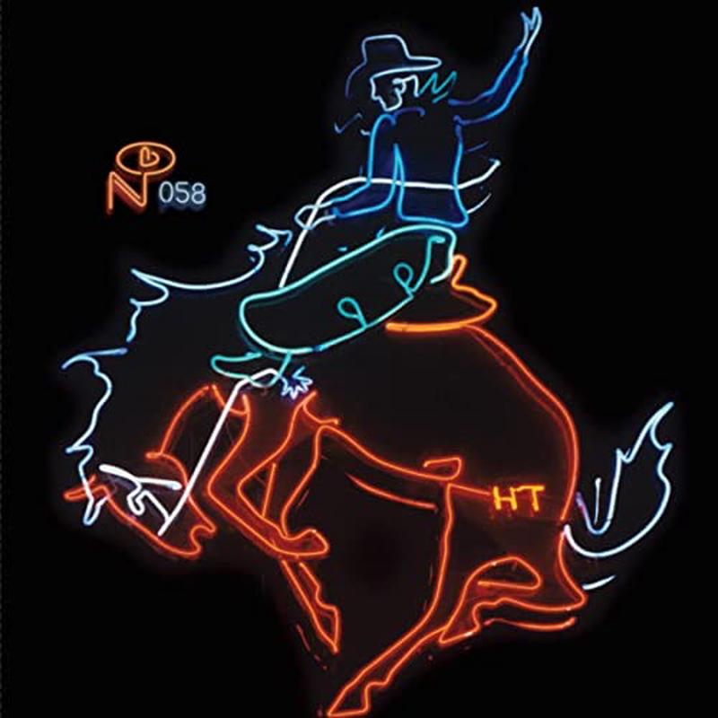 Various Artists – Wayfaring Strangers: Cosmic American Music (Col VI [VINYL]