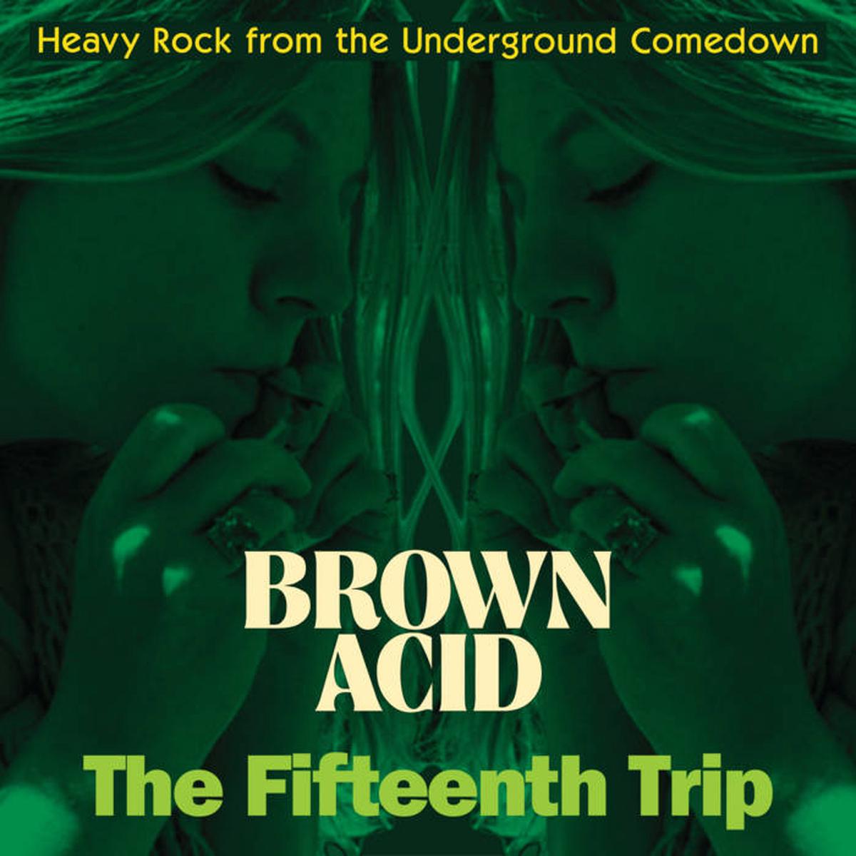 Various – Brown Acid: The Fifteenth Trip LP