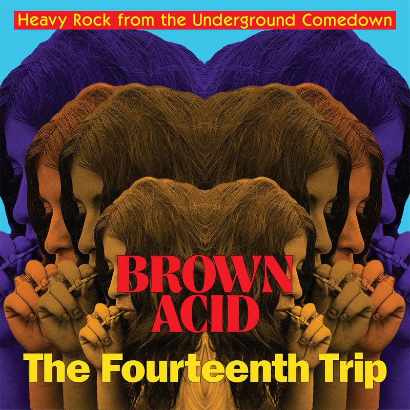 VARIOUS ARTISTS – Brown Acid: The Fourteenth Trip – LP – Black Vinyl