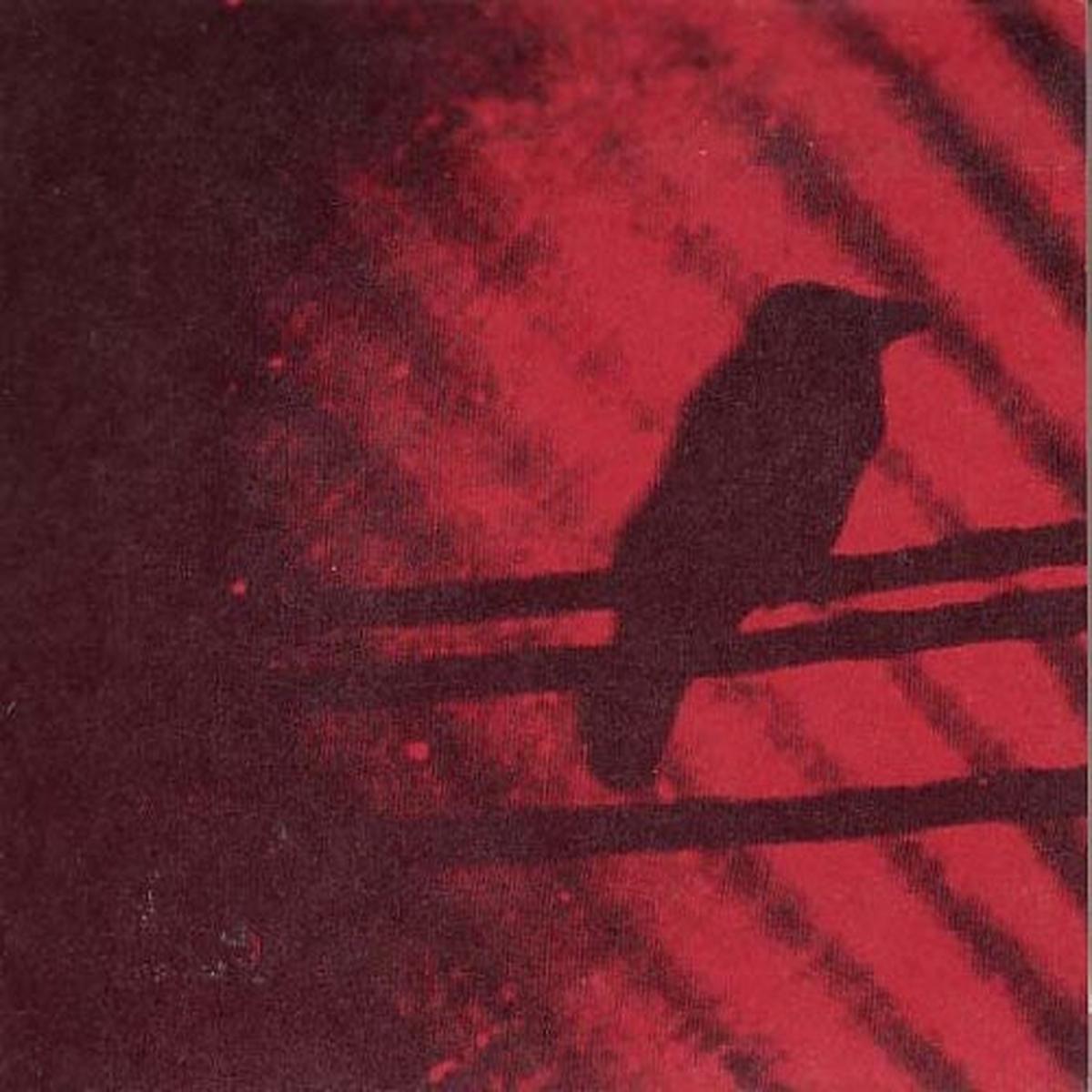 Silver Mt. Zion – Born Into Trouble As the Sparks Fly Upward [LP]