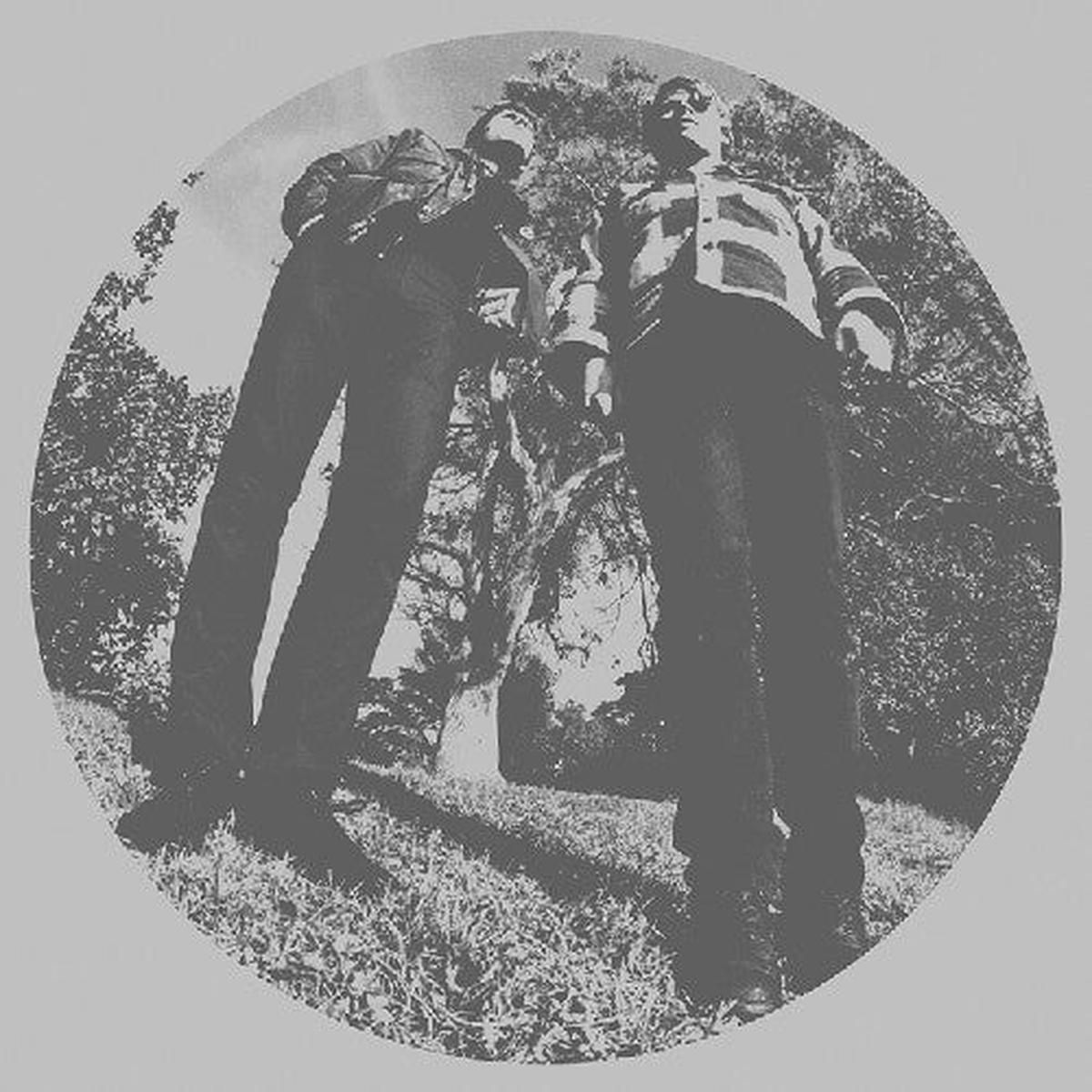 Ty Segall – Hair