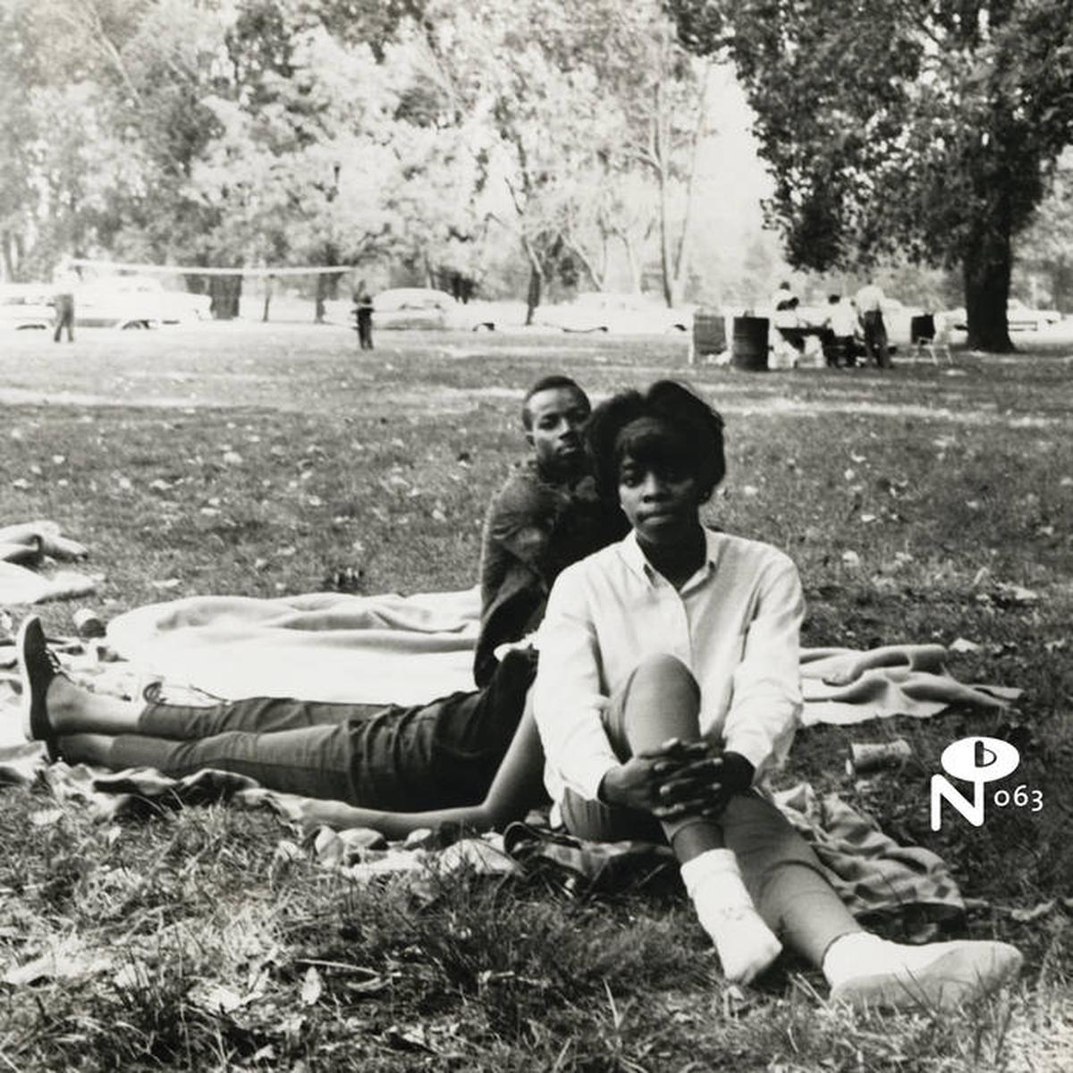 Various – Eccentric Soul: Sitting in the Park LP