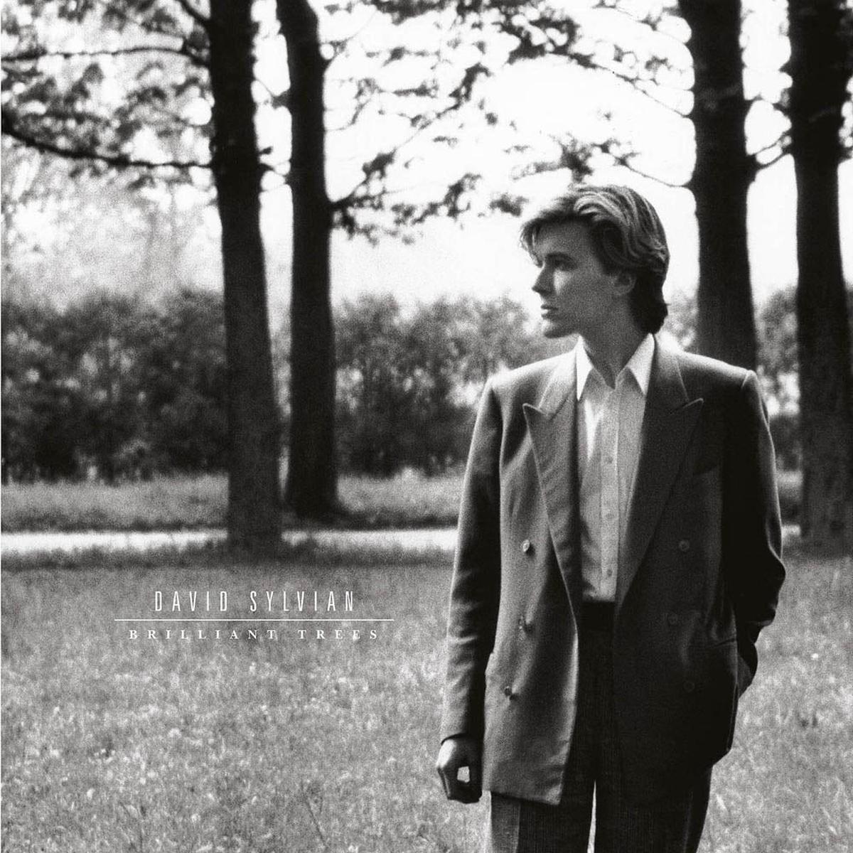 David Sylvian Brilliant Trees Vinyl LP New 2019 – Default Title